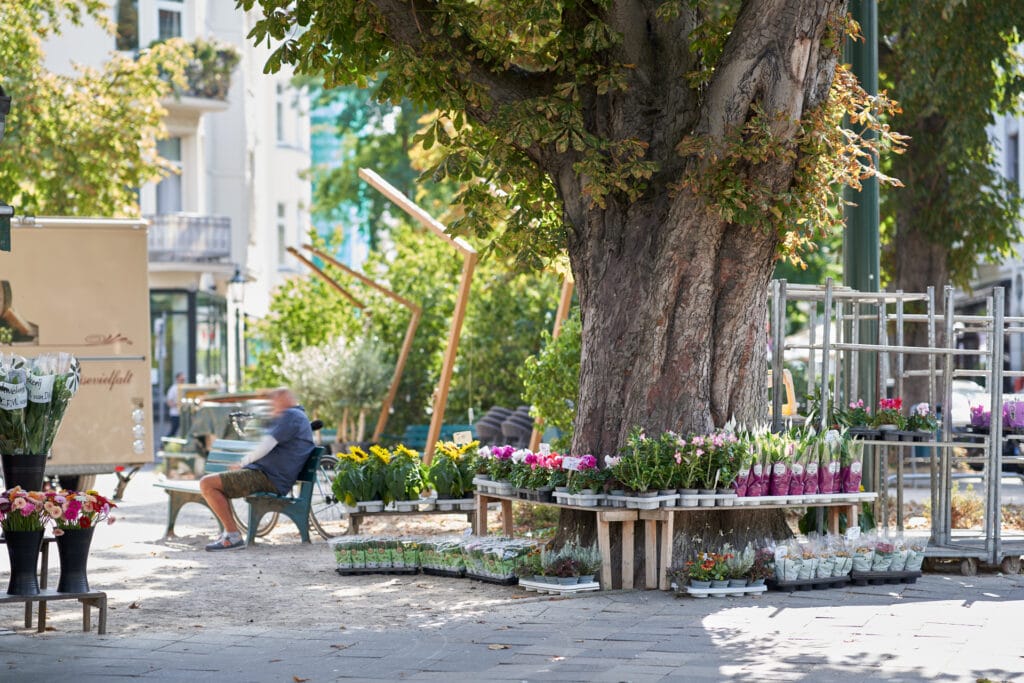 Umgebungsbild am Belsenplatz