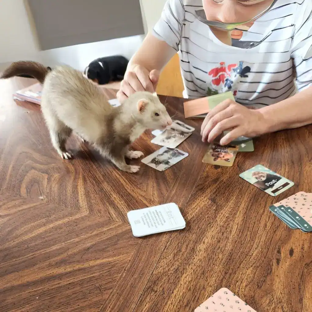 Zoothérapie - Furret - Clinique Rayons et Réadapt