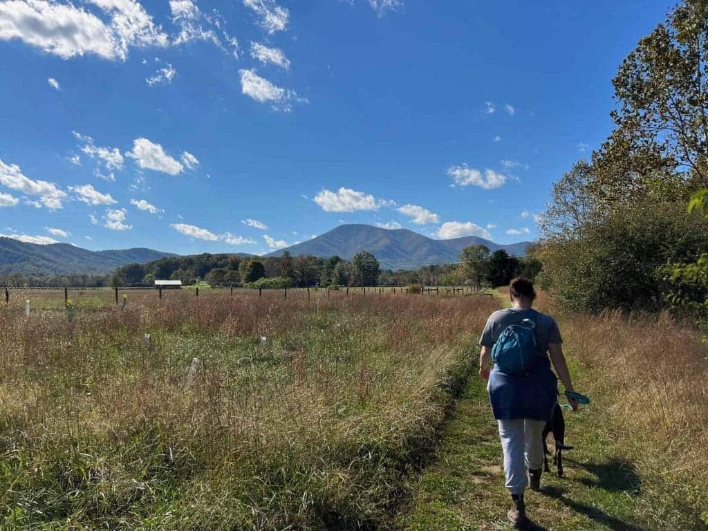 October 2021 Note | A different market update, Kids Work, & a Wedding