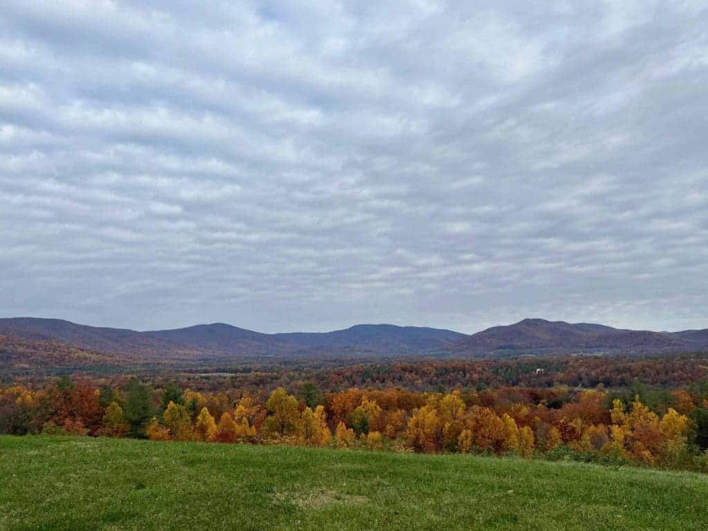 How Fast Are Homes Selling in Charlottesville? in November 2021