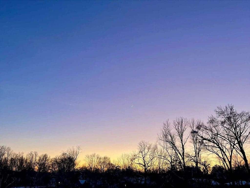 Stepping Back into Video – January 2022