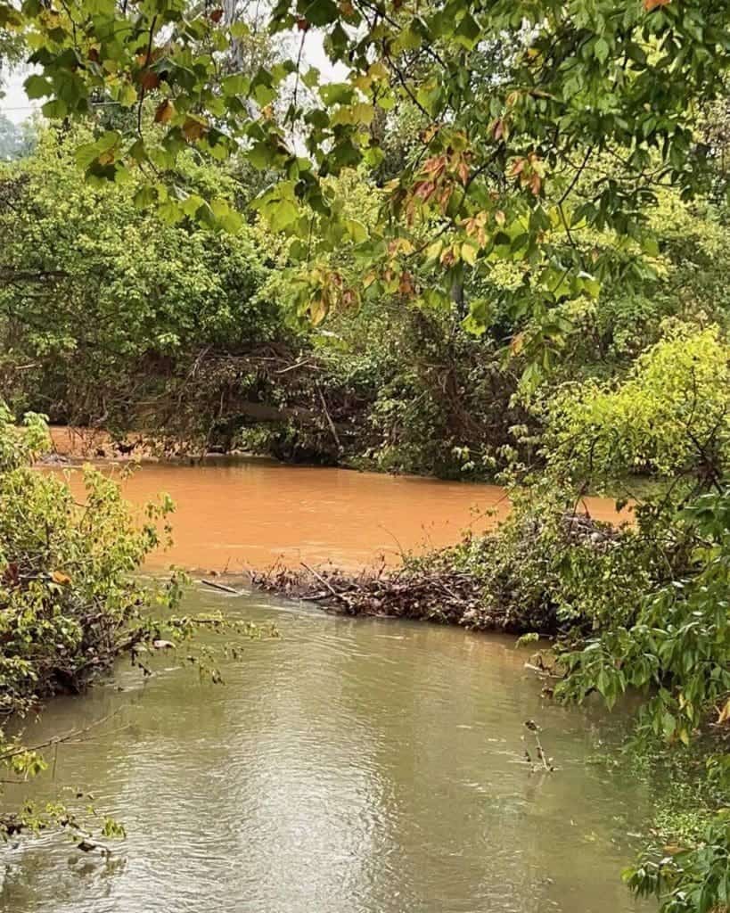 October 2024 Monthly Note – Helene, Home Values, Charlottesville Market update