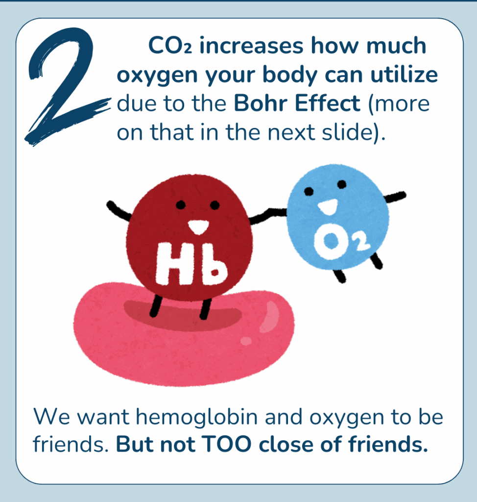 CO2 increases oxygen utilization diagram illustrating Bohr Effect with animated red and blue cartoon molecules symbolizing hemoglobin and oxygen for educational purposes.