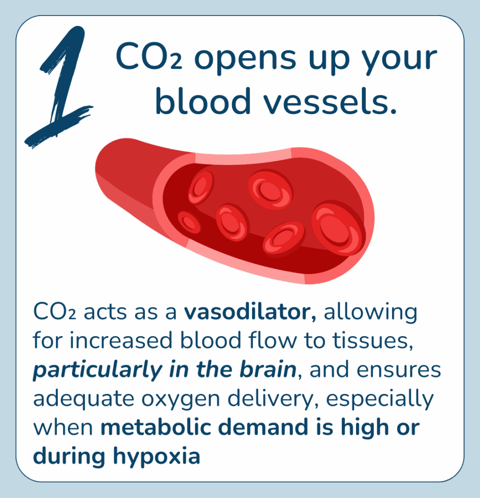 CO2 increases oxygen utilization diagram illustrating Bohr Effect with animated red and blue cartoon molecules symbolizing hemoglobin and oxygen for educational purposes.
