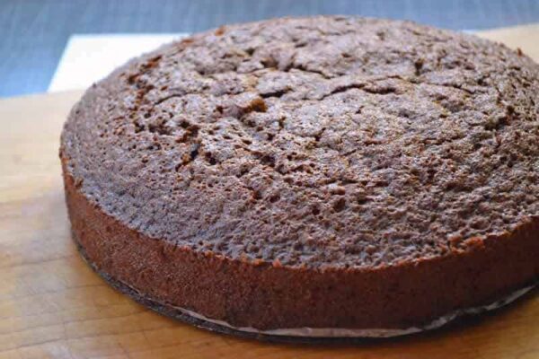 Gâteau Facile Moelleux au Chocolat au Thermomix – Recette Rapide