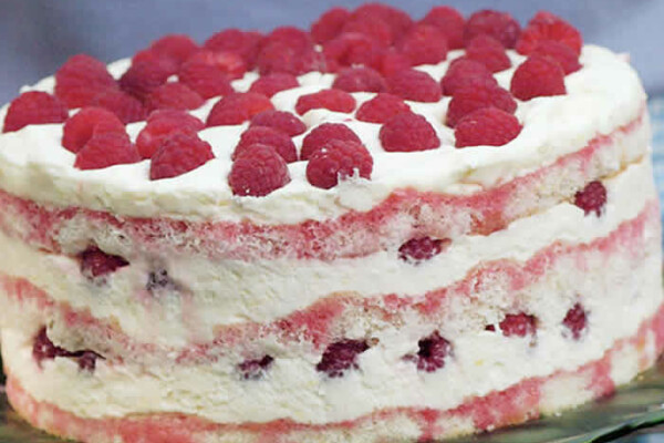 Vacherin aux Framboises au Thermomix – Entremets Glacé de Fête
