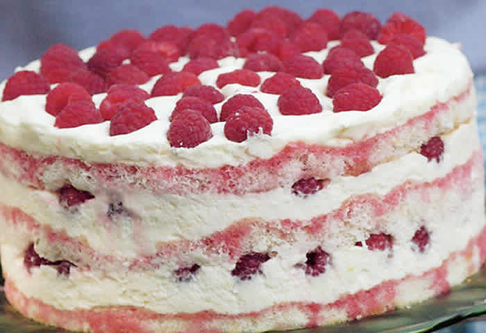 Vacherin aux Framboises au Thermomix – Entremets Glacé de Fête