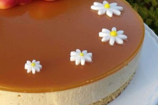 Bavarois abricot recette Weight Watchers au Thermomix, léger et fruité