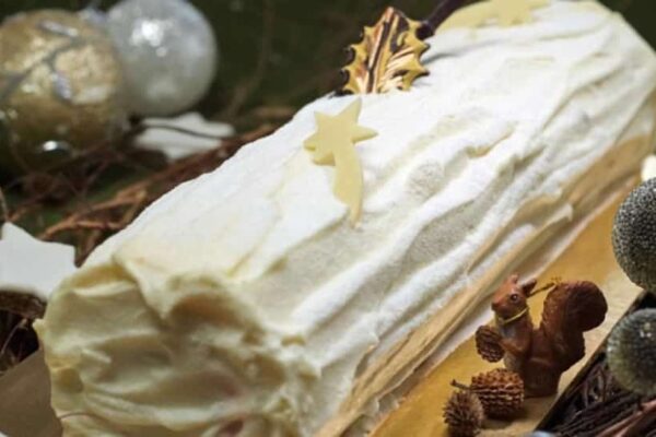 Bûche de Noël Passion au Thermomix : Recette Facile