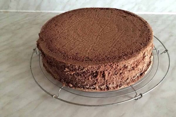 Génoise au Chocolat au Thermomix : la Recette de Base Facile