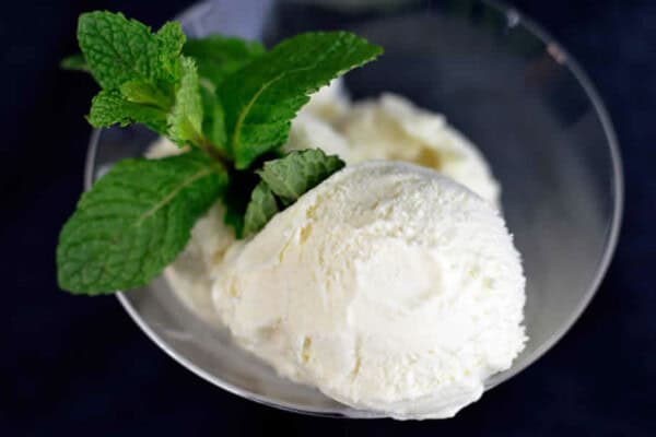 Sorbet Mojito au Thermomix : recette rafraîchissante menthe-citron vert