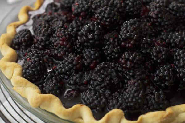 Tarte aux Mûres au Thermomix : Recette Facile et Fruitée