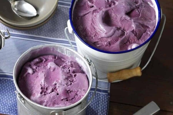 Glace à l'italienne aux myrtilles au Thermomix
