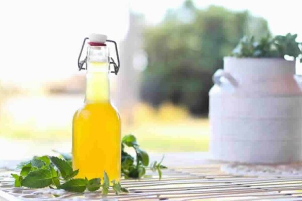 Sirop de menthe maison rafraîchissant et naturel