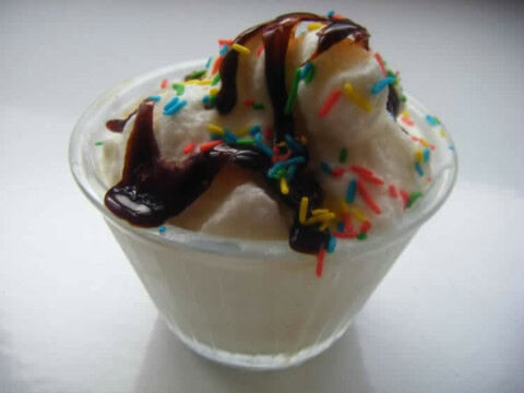 Mc flurry maison au thermomix