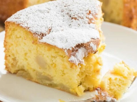 Moelleux aux pommes facile au thermomix
