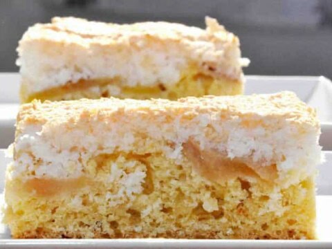 Cake aux pommes et noix de coco au thermomix