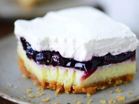 Cheesecake à la confiture et crème au thermomix