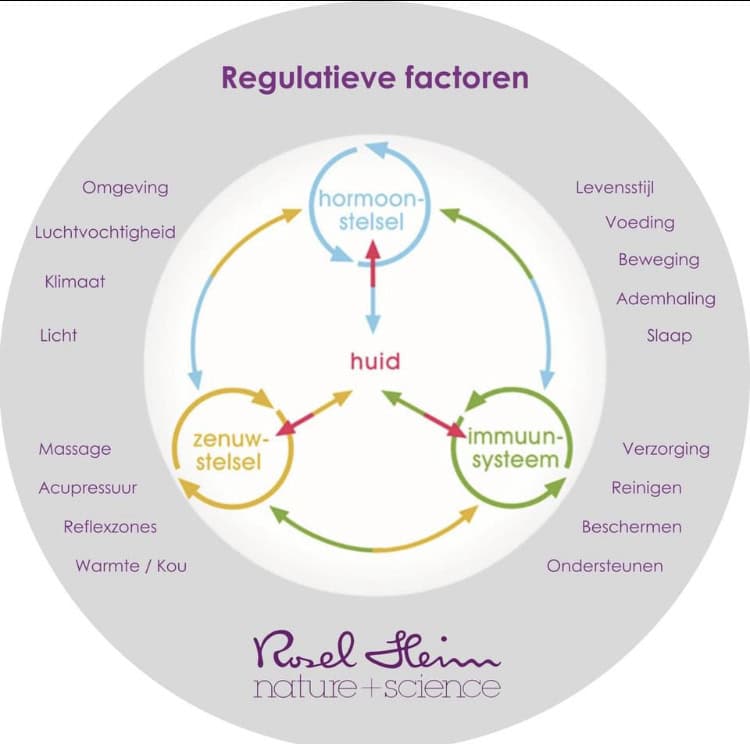 Renate Memelink De huidfluisteraar hormoonstelsel driehoek