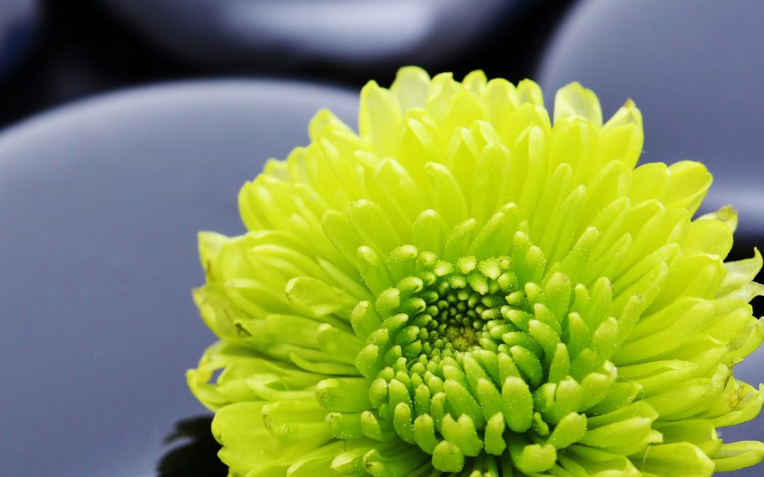 Démarrage d&rsquo;un nouveau cycle de formation en Massage Initiatique