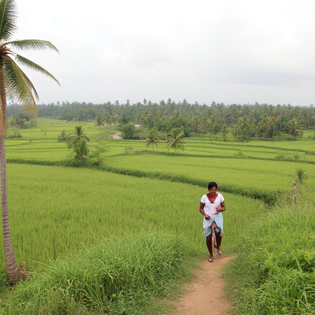 Kerala