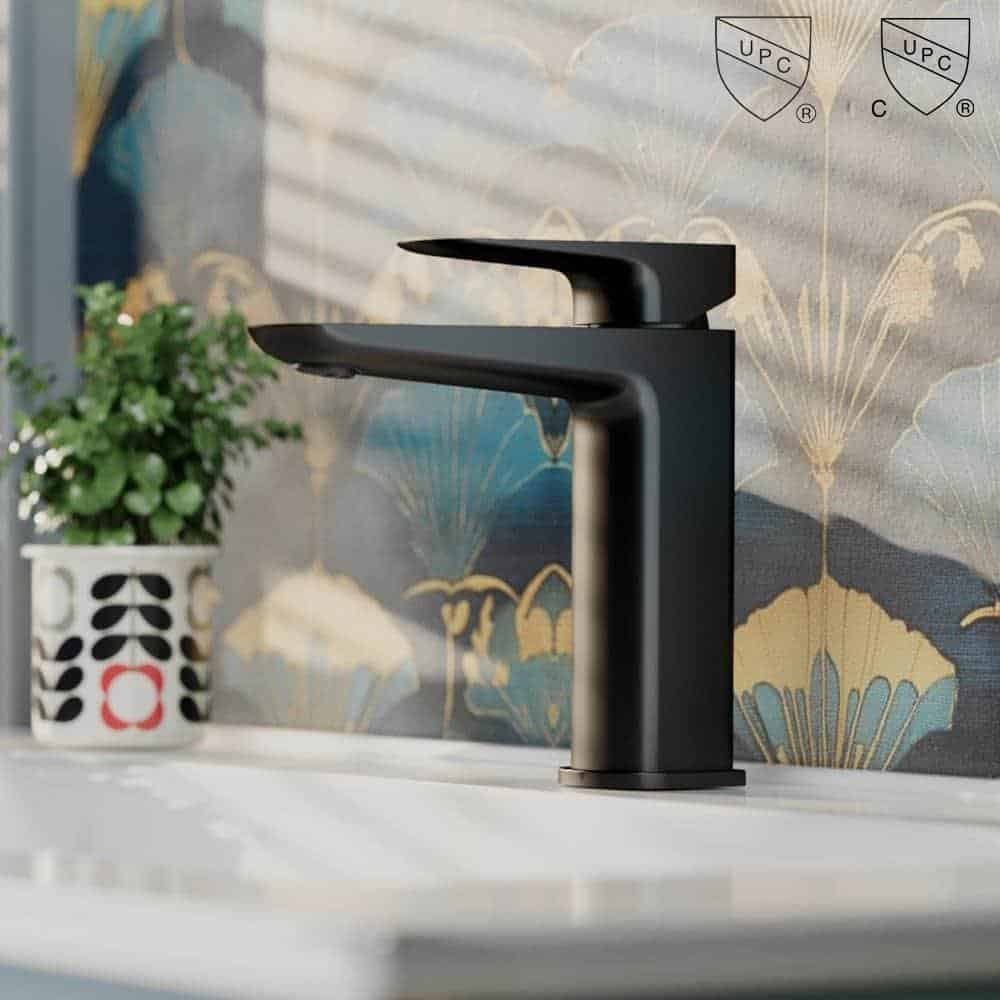 B1007-01-matte-black upc and cupc logo