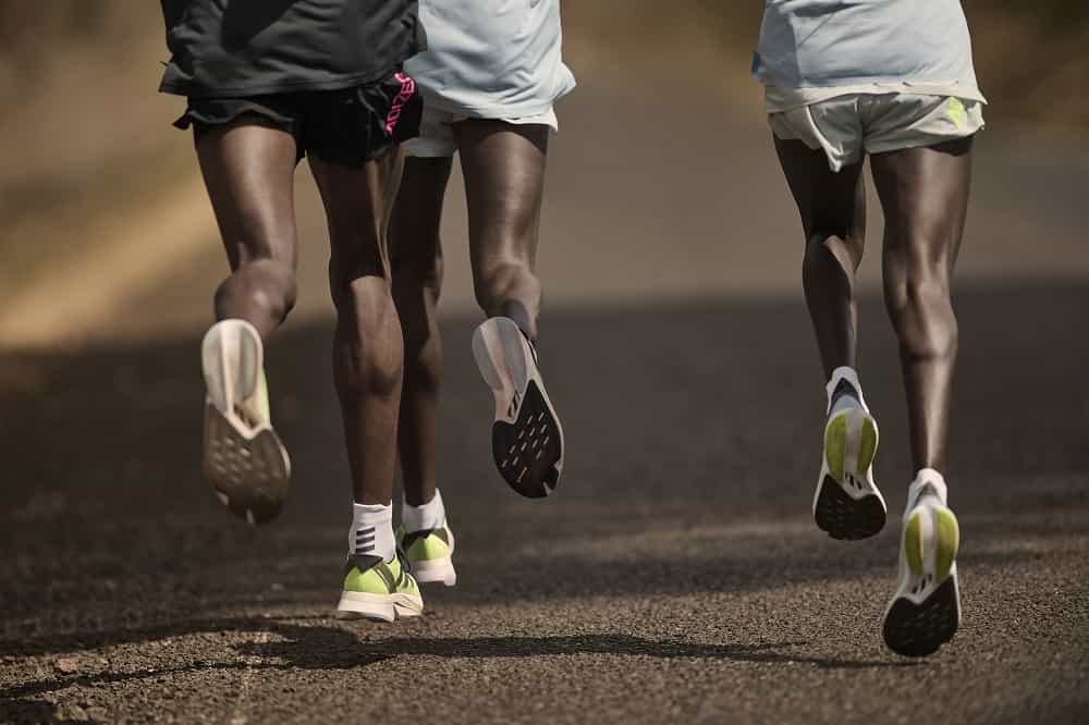 adidas launch the all-new ADIZERO BOSTON 12 and ADIOS 8