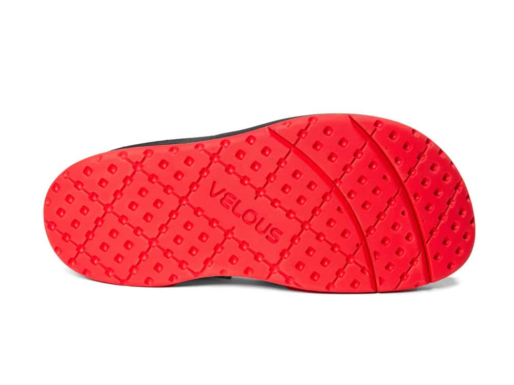 VELOUS Hoya x CITIUS MAG