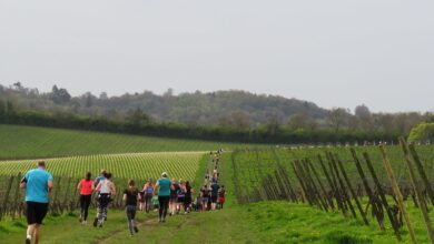 Want to beat the summer heat but stay on your feet Try a nature-rich UK parkrun
