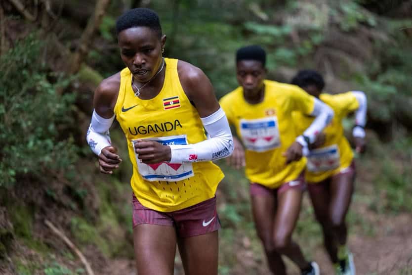 A group of people running in a trail AI-generated content may be incorrect.