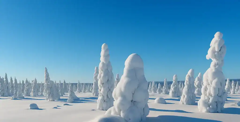 Snowmobile safari Ivalo FAQ - information for guests