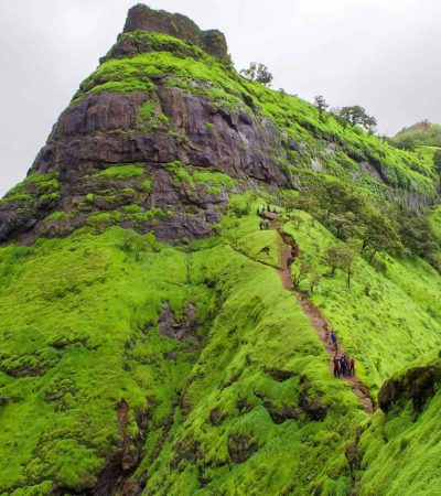 विकटगड किल्ला