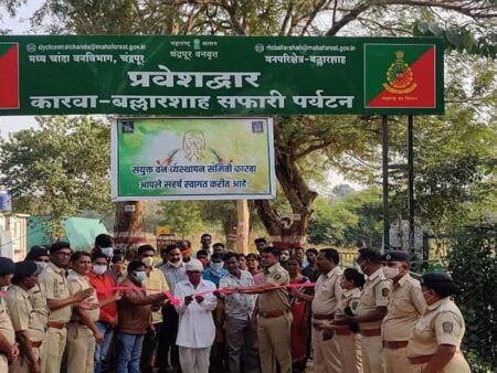 चंद्रपूरमध्ये राज्यातील पहिले अरण्य नियंत्रण कक्ष सुरू