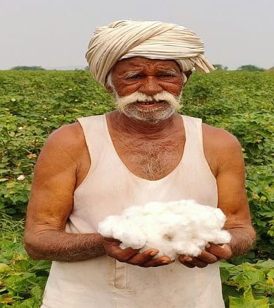 कापूस हळद उत्पादक शेतकऱ्यांना मिळणार आर्थिक संरक्षण