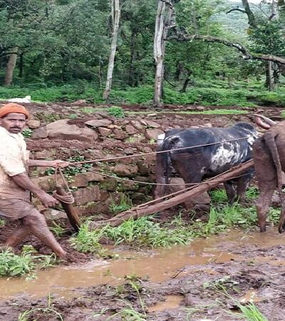 मराठवाड्यात पेरणीचा वेग मंदावला – बळीराजा चिंतेत