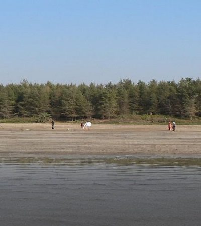 आवास समुद्रकिनारा