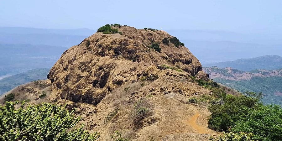 जंगली जयगड किल्ला