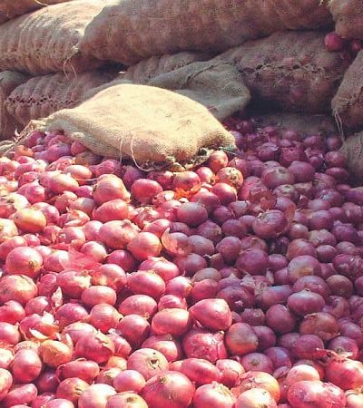 कांदा उत्पादक शेतकरी आर्थिक अडचणीत
