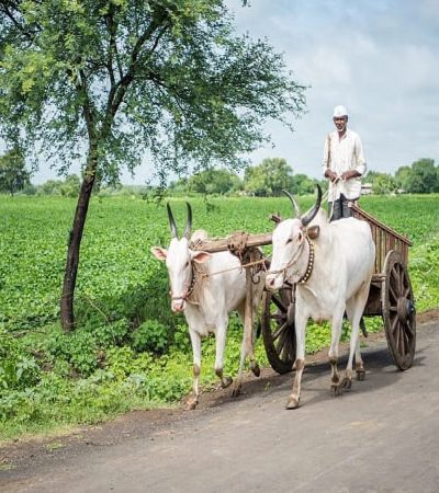 कृषी विकासासाठी नव्या योजनेला मंजुरी
