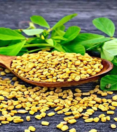 पौष्टिक गुणधर्मांनी परिपूर्ण मेथी