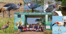 नांदूर मधमेश्वर पक्षी अभयारण्य