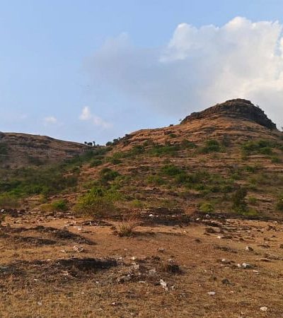 पेडका किल्ला