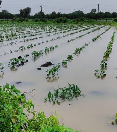 अमरावतीत मुसळधार पावसामुळे मोठे नुकसान