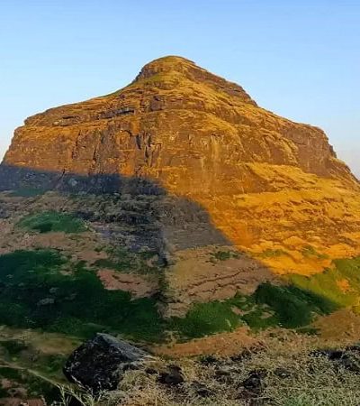 सालोटा किल्ला