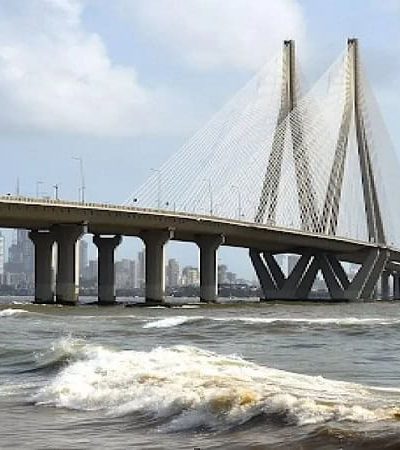 सागरी सेतू विस्तारामुळे खारफुटी झाडे नष्ट होण्याचा धोका