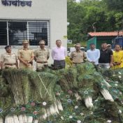 सोमवार पेठेत वनविभागाची मोठी कारवाई