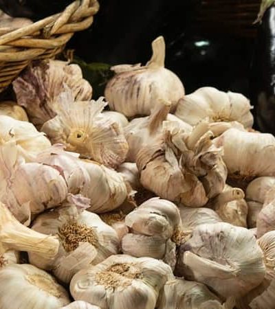 मुंबई एपीएमसी बाजारात चिनी लसणाची आवक सुरू