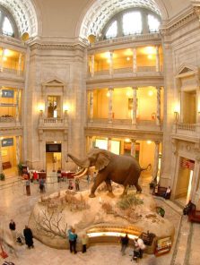 ब्रिटनमधून तीन प्राचीन कांस्य मूर्ती भारतात परतणार