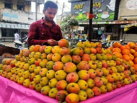 जळगाव फळबाजारात बदाम व लालबाग आंब्यांचे आगमन