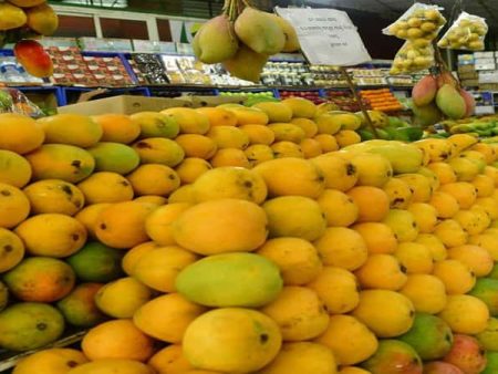 आंतरराष्ट्रीय मालवाहतूक विस्कळीत झाल्याने आंबा निर्यातीवर परिणाम